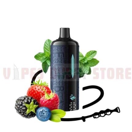 Shisha 16000 Puffs Mega Cloud DTL 5MG in Dubai BERRY MINT