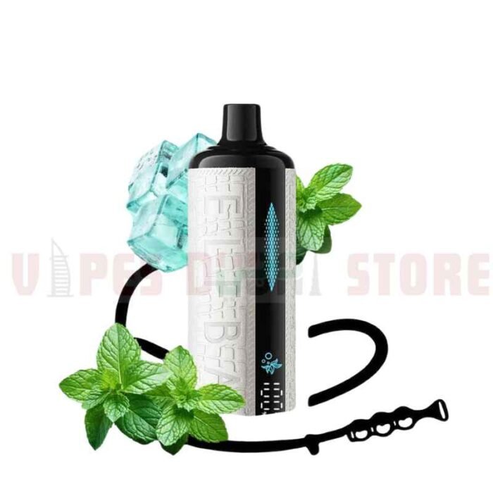 Shisha 16000 Puffs Mega Cloud DTL 5MG in Dubai MINT FREEZE