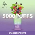 Elf Bar 5000 Puffs Disposable Vape In UAE Cranberry Grape