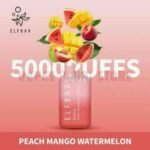 Elf Bar 5000 Puffs Disposable Vape In UAE Peach Mango Watermelon