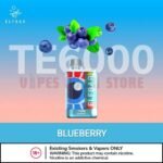 Elfbar TE6000 (6000 Puffs) 50Mg Disposable Vape In Dubai Blueberry