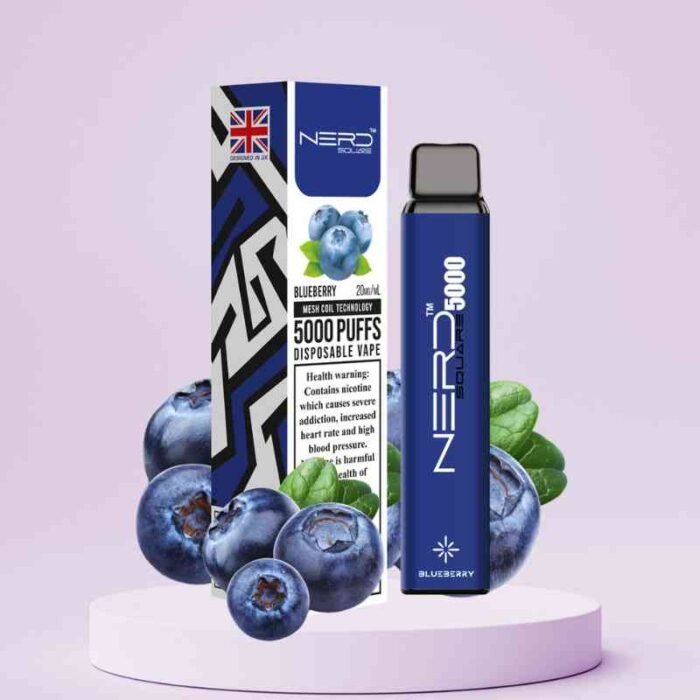Nerd-Square-5000-Puffs-20Mg-Disposable-Vape-In-Dubai-Blueberry