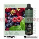 TESYI ULTRA SHISHA 35000 PUFFS BERRY MINT