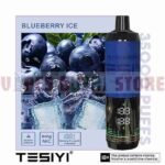 TESYI ULTRA SHISHA 35000 PUFFS BERRY MINT