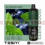 TESYI ULTRA SHISHA 35000 PUFFS BERRY MINT