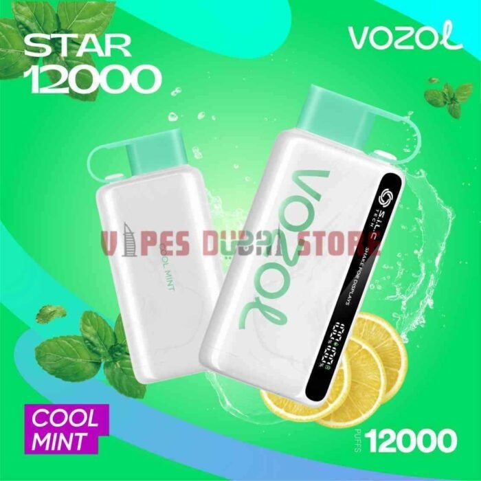 VOZOL Star 12K 12000 Puffs 5% Disposable Vape in Dubai COOL MINT