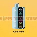 silvaper 40000 puffs 20mg disposable vape Cool Mint