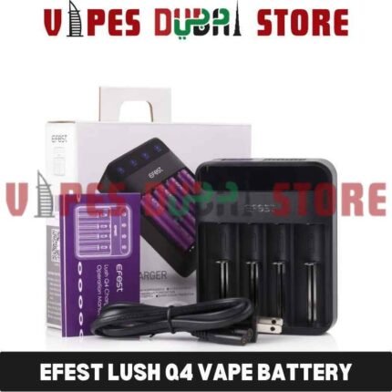 EFEST Lush Q4 Vape Battery Charger in Dubai