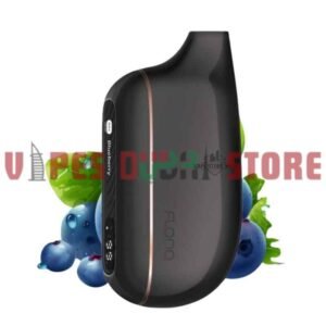 MALAKI Flonq Max Smart 10000 Puffs 20MG Disposable Vape in Dubai blueberry