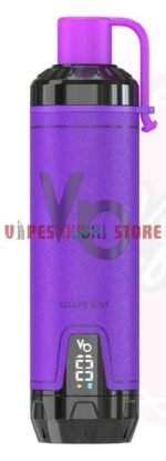 VAPES BARS Ghost Shisha 15000 Puffs 5MG Disposable Vape in Dubai Grape-Mint