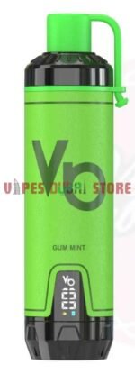 VAPES BARS Ghost Shisha 15000 Puffs 5MG Disposable Vape in Dubai Gum-Mint