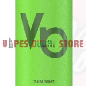 VAPES BARS Ghost Shisha 15000 Puffs 5MG Disposable Vape in Dubai Gum-Mint