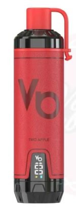 VAPES BARS Ghost Shisha 15000 Puffs 5MG Disposable Vape in Dubai Two-Apple