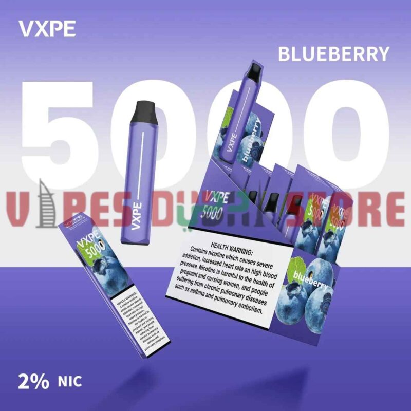 VXPE 5000 Puffs 20Mg Disposable Vape in Dubai Blueberry