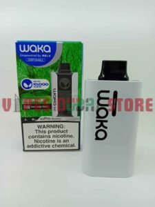Waka SoPro 10000 Puffs Disposable Vape In Dubai, UAE Fresh Mint