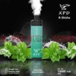 XPD BAR R Shisha 10000 Puffs 3mg Disposable Vape in Dubai Cool Mint