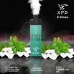 XPD BAR R Shisha 10000 Puffs 3mg Disposable Vape in Dubai Gum Mint