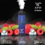 XPD BAR R Shisha 10000 Puffs 3mg Disposable Vape in Dubai Raspberry Ice