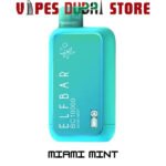 ELF BAR 10000 Puffs Disposable Vape in Dubai Miami-Mint