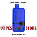 VNSN Spark 12000 Puffs 50MG Disposable Vape blueberry ice