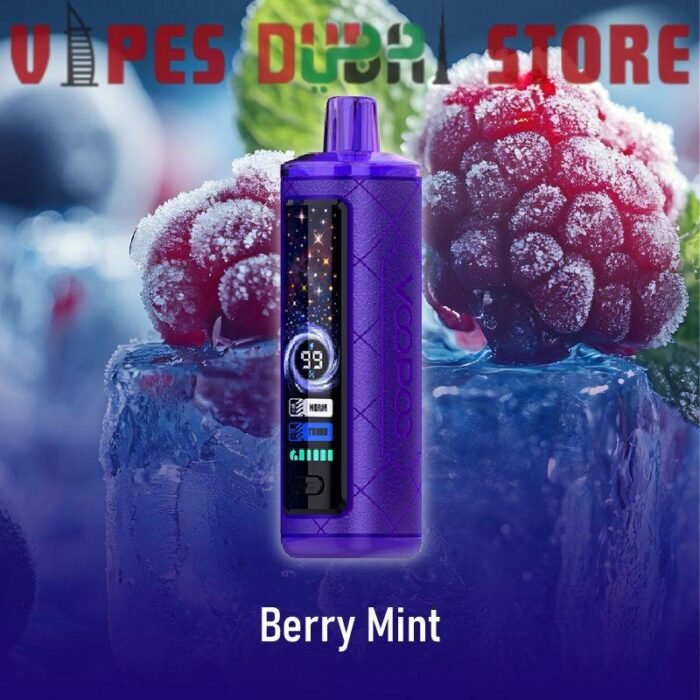 VOOPOO CLOUD X 20000 Puffs Price in Dubai BERRY MINT