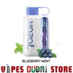 Vozol Star 40K Disposable Vape BLUEBERRY-MINT