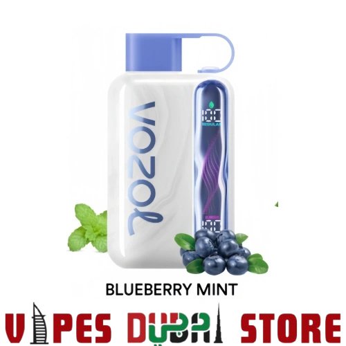 Vozol Star 40K Disposable Vape BLUEBERRY-MINT Vozol Star 40K Disposable Vape BLUEBERRY-MINT