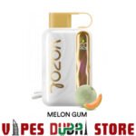Vozol Star 40K Disposable Vape MELON-GUM