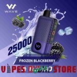 WAVE Turbo 25000 Puffs 50MG Disposable Vape Price in Dubai Frozen Blackberry