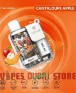 Pyne-Pod-8500-Disposable-Vape-Cantaloupe-Apple-