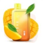 Elfbar Raya D1 13000 puffs Disposable Vape Double Mango