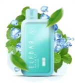 Elfbar Raya D1 13000 puffs Disposable Vape Miami Mint
