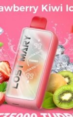 LOST_MARY_35K_Puffs_Disposable_Vape_MT35000_TURBO_50mg_Strawberry_Kiwi_540x