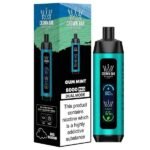 Al Fakher 8000Pro Dual Mode Disposable Vape in Dubai gum mint