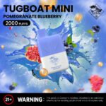 Tugboat-Mini-2000-Puffs-2-Nicotine-Disposable-Vape-in-UAE-Pomegranate Blueberry