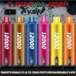 SMOOTH Whale Disposable 2_ & 5_ 12000 Puffs Rechargeable Vape in Dubai, UAE