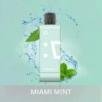Elfbar ew 9000 puffs 50mg nicotine pods without battery pack in Dubai MIAMI_MINT