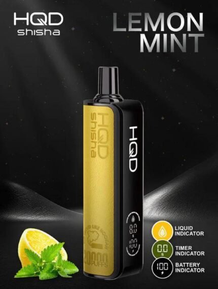 HQD Shisha 20000 Puffs 2_ nicotine Disposable Vape in Dubai LEMON MINT