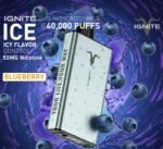 Ignite-Ice-40000-Puffs-Disposable-Blueberry