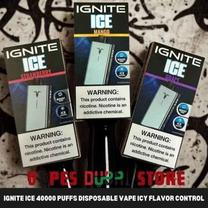 Ignite Ice 40000 Puffs Disposable Vape Icy Flavor Control In The UAE