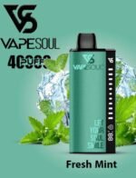 Vape soul 40k disposable vape in Dubai Fresh_Mint
