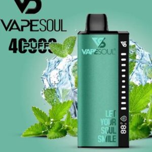Vape soul 40k disposable vape in Dubai Fresh_Mint