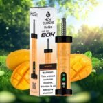 HoQa 80k puffs 5% nicotine Disposable Vape in Dubai mango