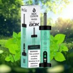 HoQa 80k puffs 5% nicotine Disposable Vape in Dubai miami mint
