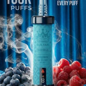 Sultan xtra shisha Dtl 100k puffs 2mg nicotine triple mesh vape in Dubai blueberry raspberry