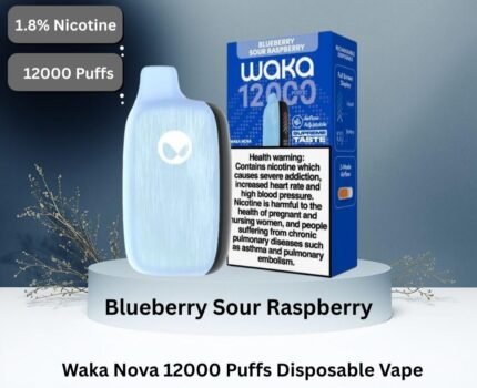 Waka Nova 12000 Puffs 18MG Disposable Vape in UAE Blueberry Sour Raspberry